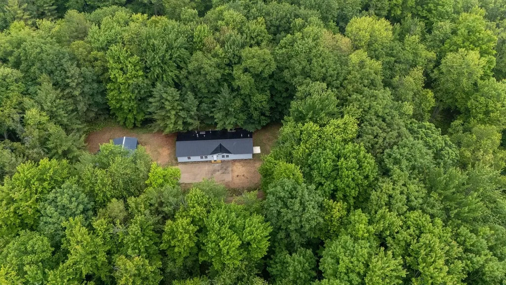 600 N Clear Lake Road Foster Township MI 48661