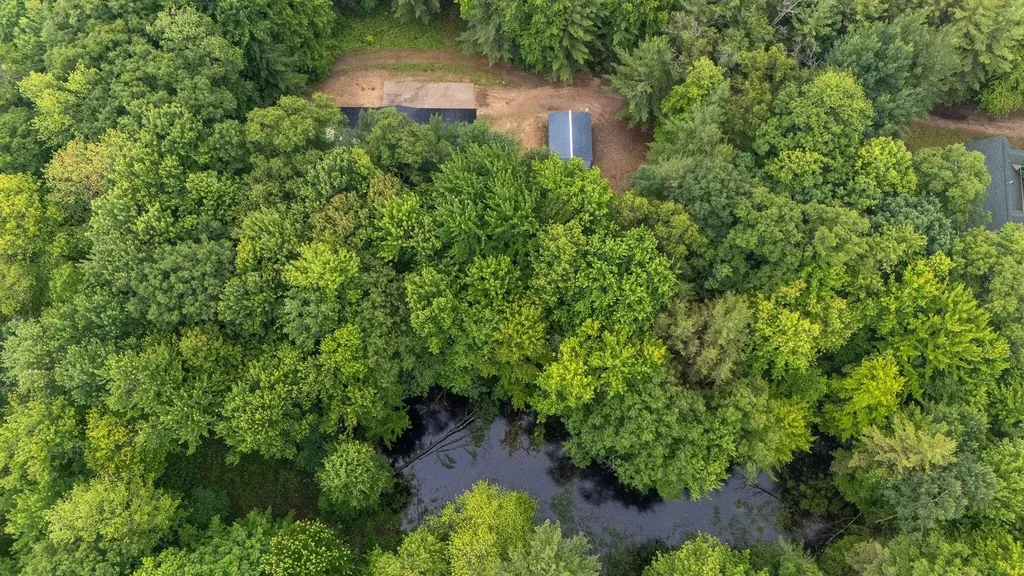 600 N Clear Lake Road Foster Township MI 48661