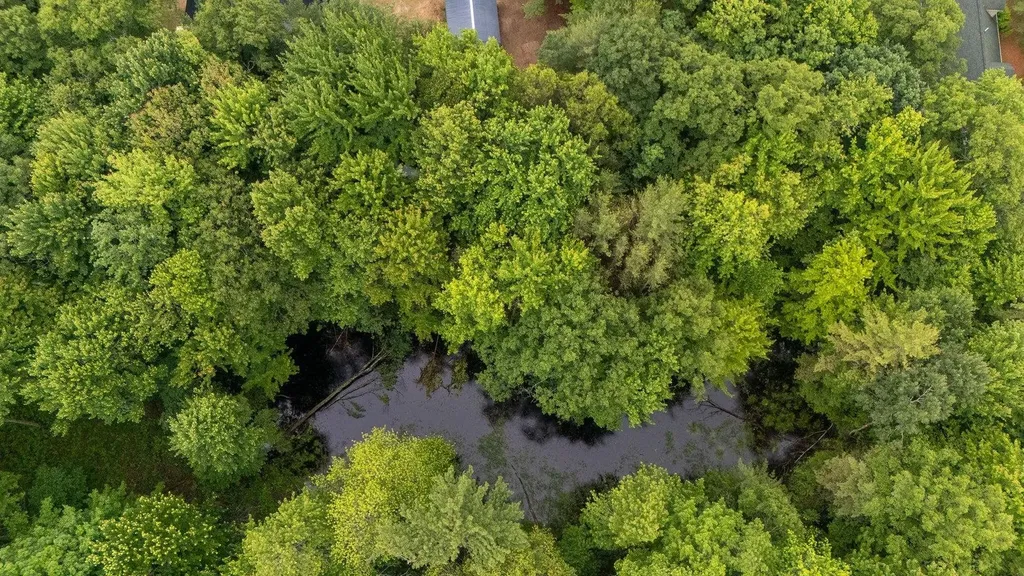 600 N Clear Lake Road Foster Township MI 48661