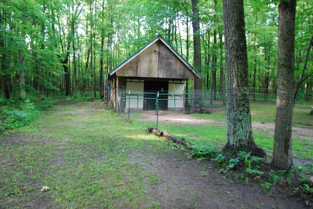 3195 W Sage Lake Road Foster Township MI 48661
