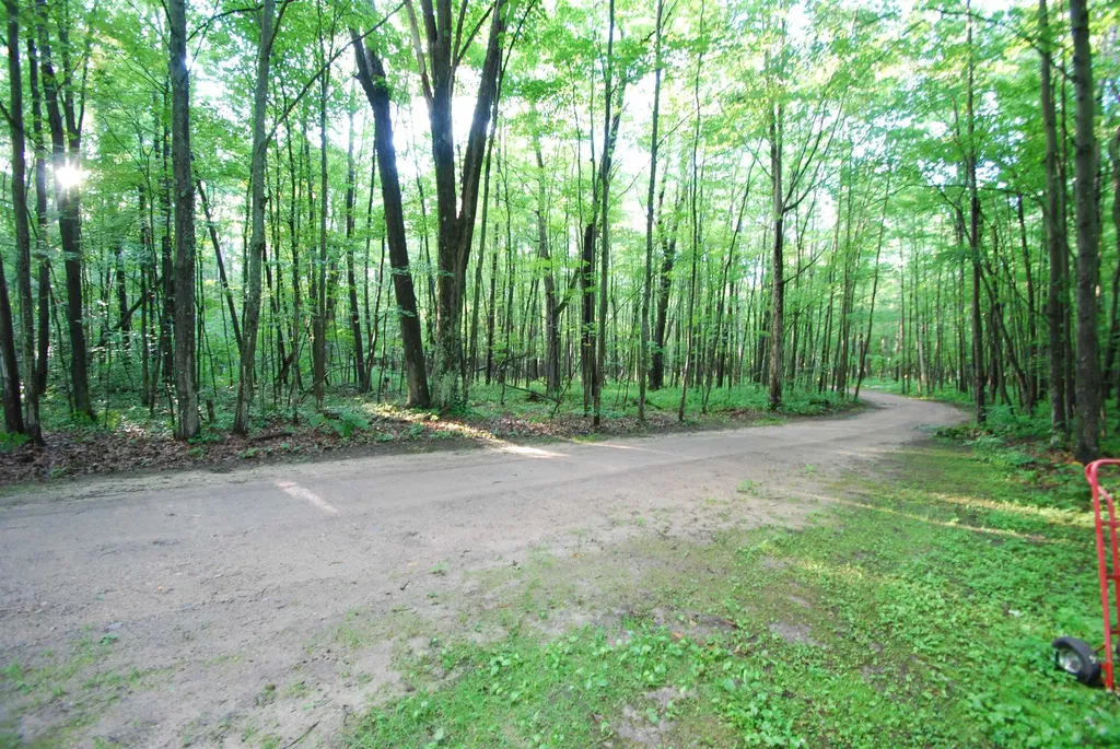 3195 W Sage Lake Road Foster Township MI 48661