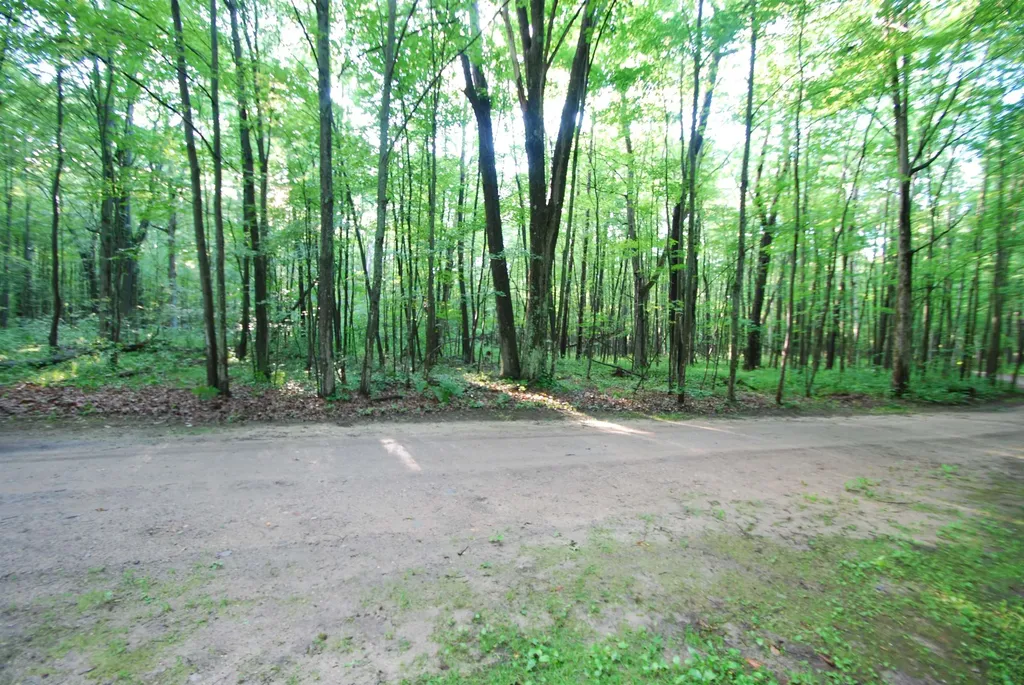 3195 W Sage Lake Road Foster Township MI 48661