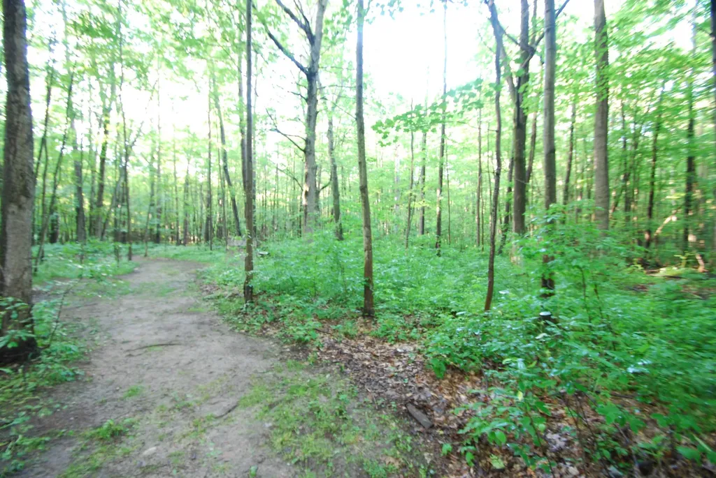 3195 W Sage Lake Road Foster Township MI 48661