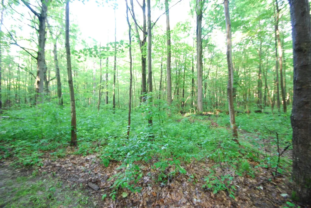 3195 W Sage Lake Road Foster Township MI 48661