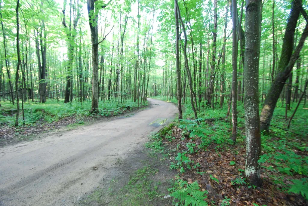 3195 W Sage Lake Road Foster Township MI 48661