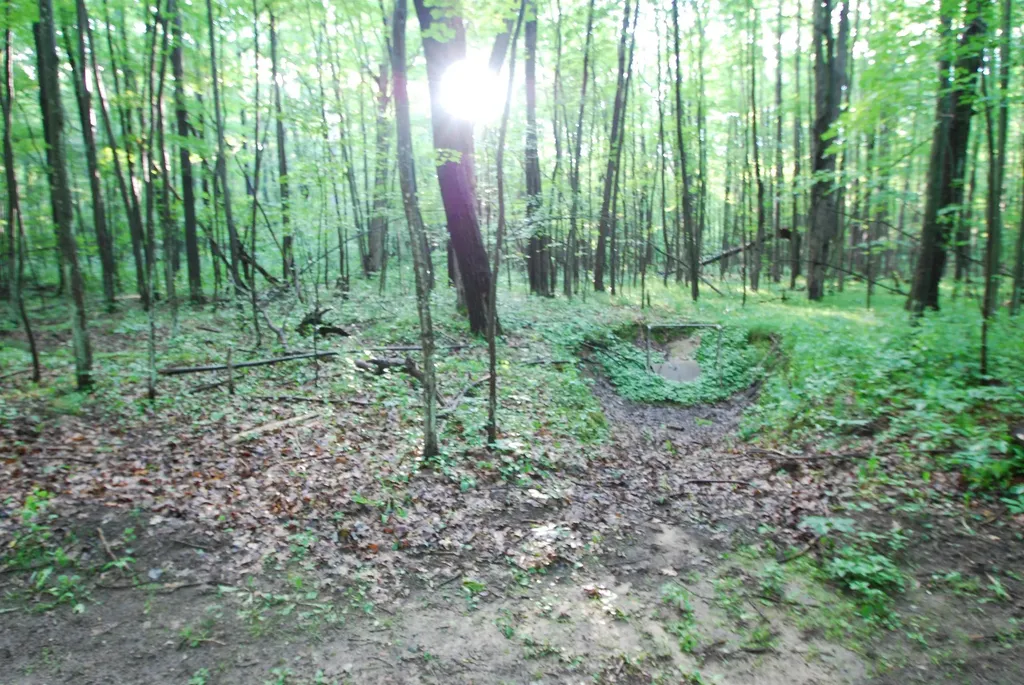 3195 W Sage Lake Road Foster Township MI 48661
