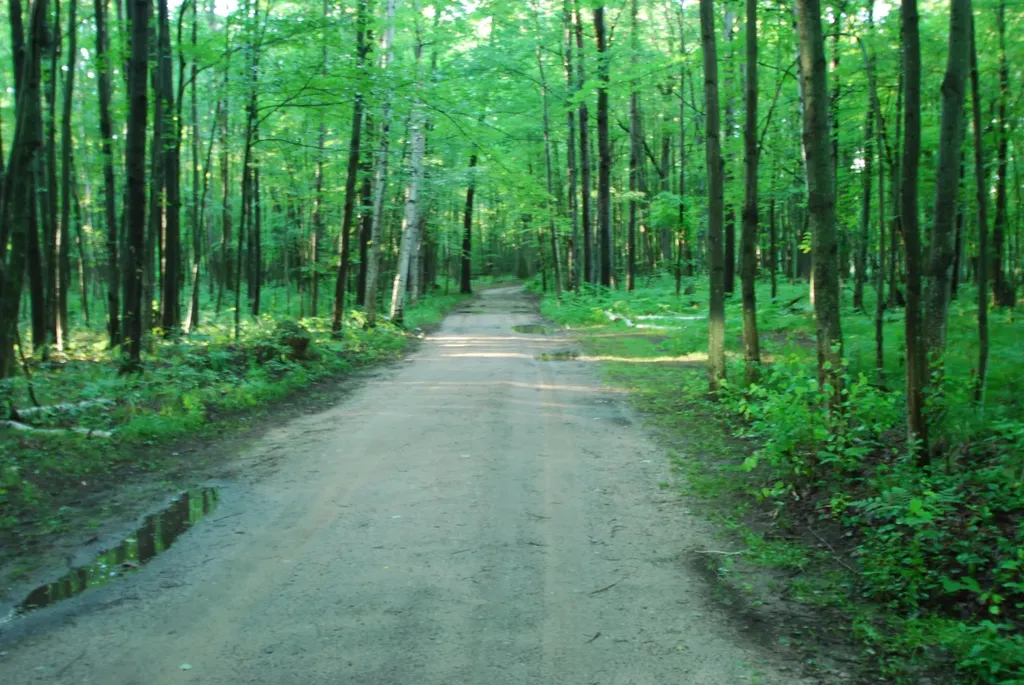 3195 W Sage Lake Road Foster Township MI 48661