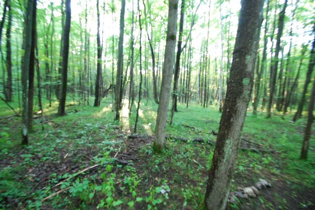 3195 W Sage Lake Road Foster Township MI 48661