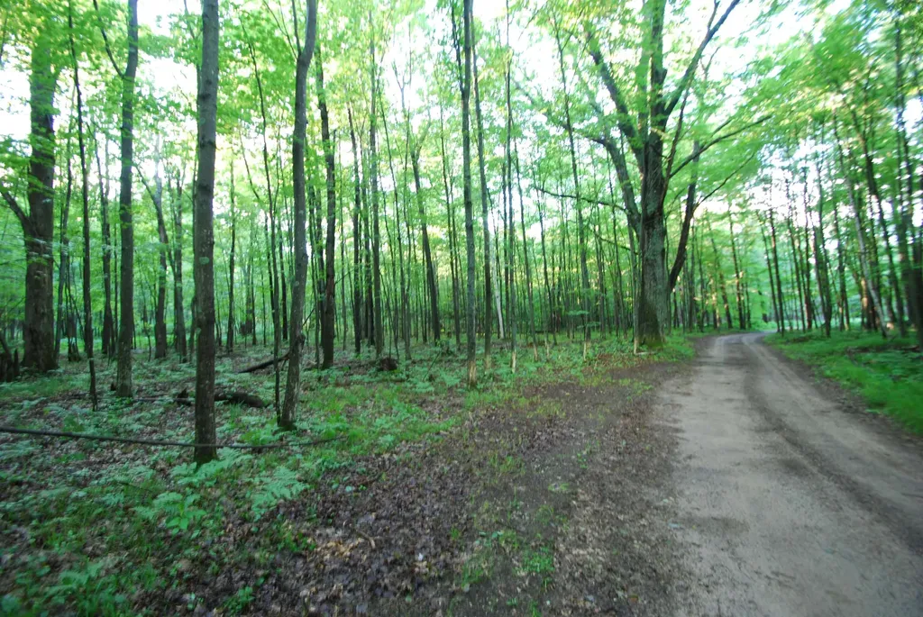 3195 W Sage Lake Road Foster Township MI 48661