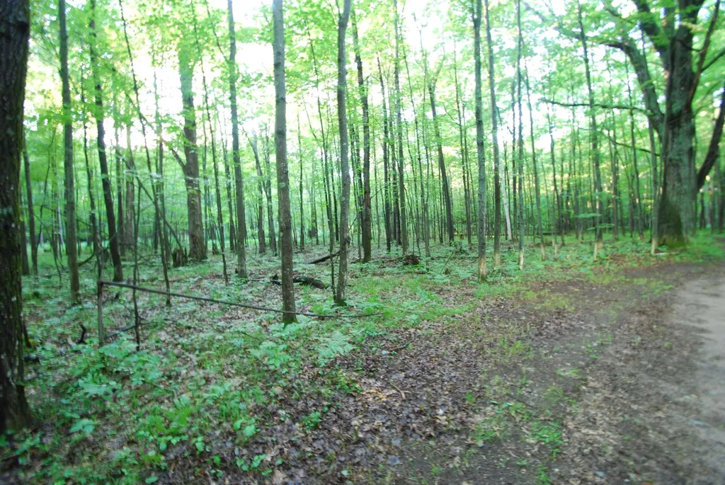 3195 W Sage Lake Road Foster Township MI 48661