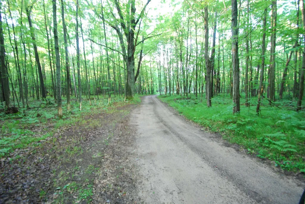 3195 W Sage Lake Road Foster Township MI 48661