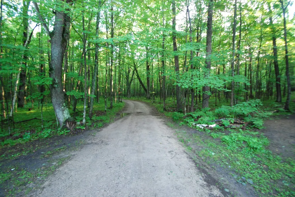 3195 W Sage Lake Road Foster Township MI 48661