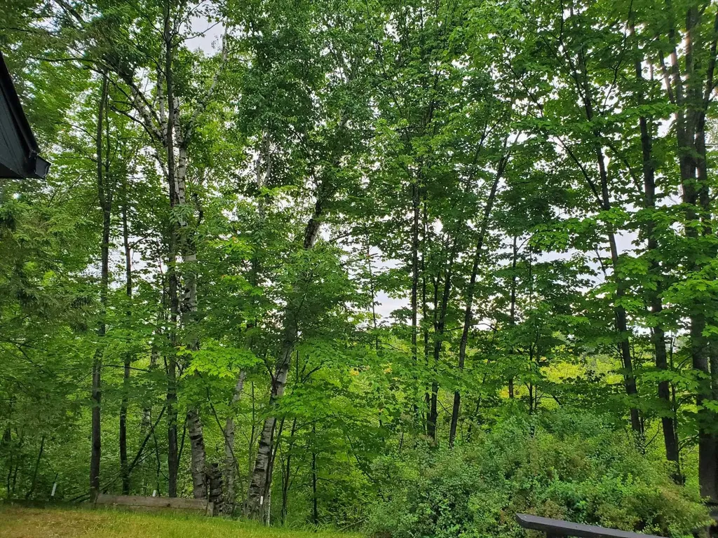 9507 Washington Road Richfield Township MI 48656