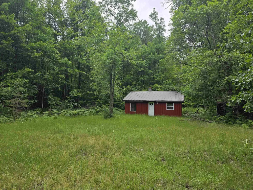 6300 Kerr Trail Plainfield Township MI 48739