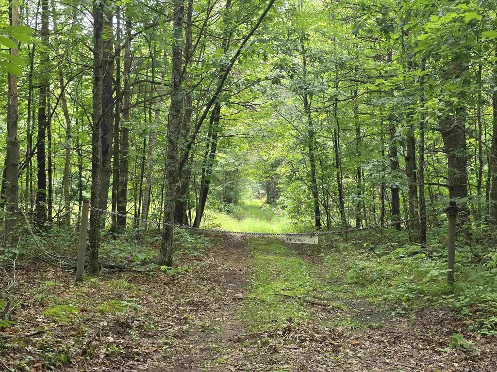6300 Kerr Trail Plainfield Township MI 48739