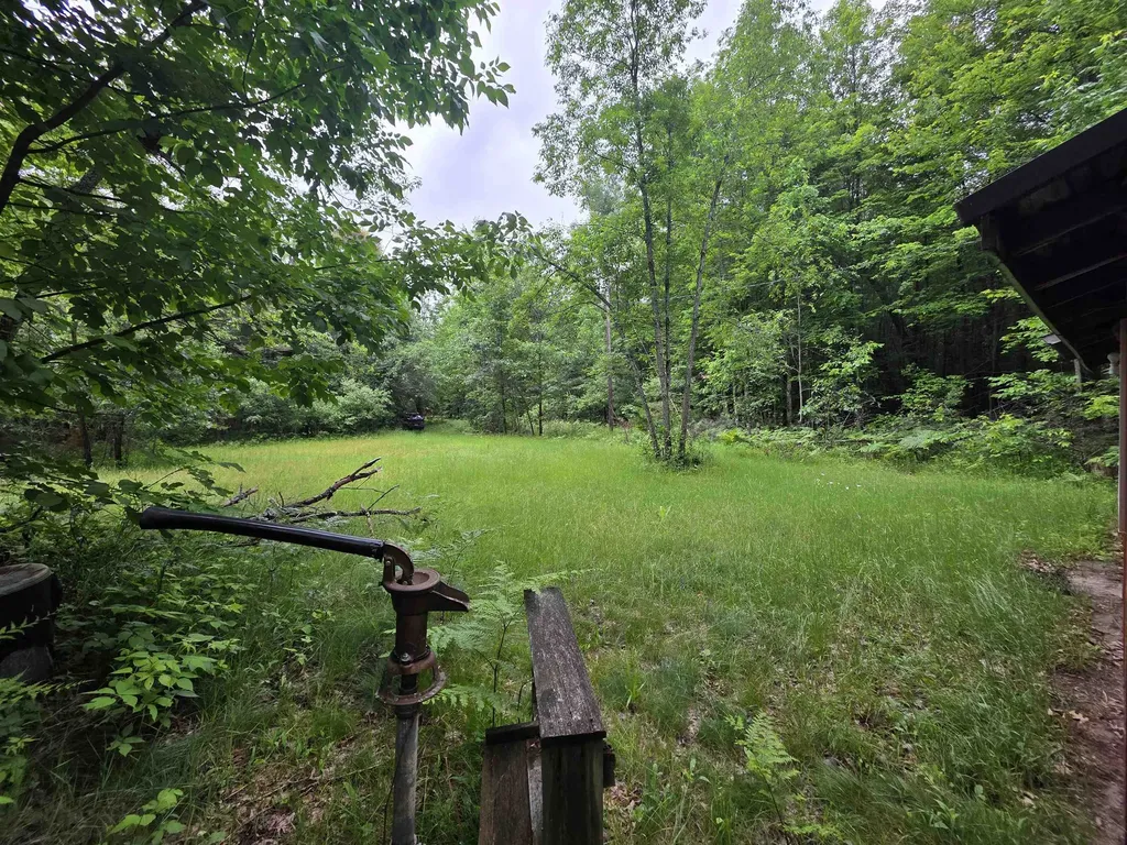 6300 Kerr Trail Plainfield Township MI 48739
