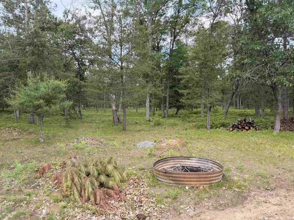 1789 Camino Drive Grant Township MI 48748
