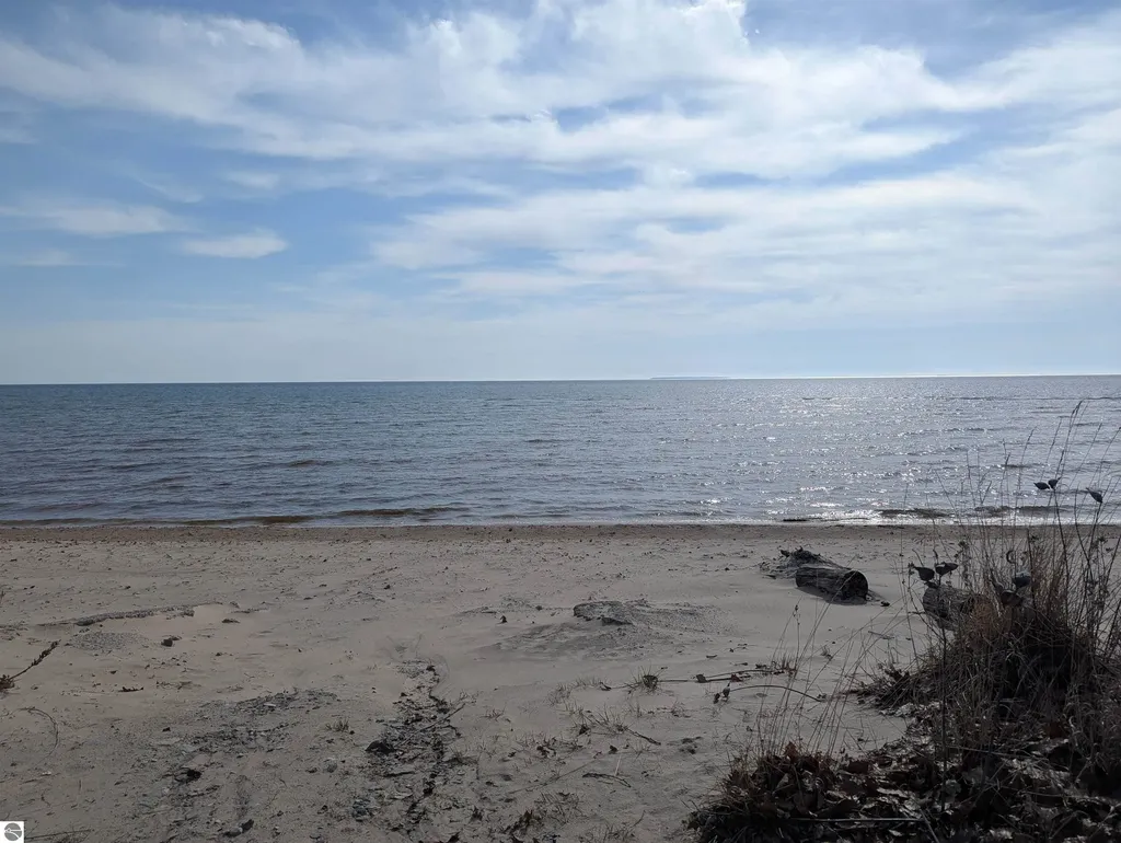 28 W Pine Sims Township MI 48703