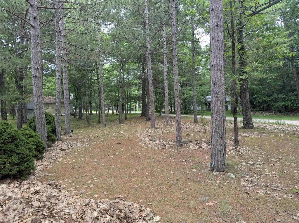 28 W Pine Sims Township MI 48703