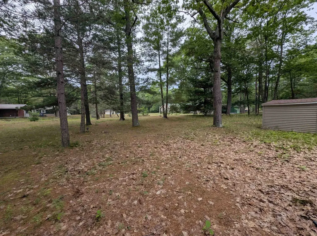 28 W Pine Sims Township MI 48703