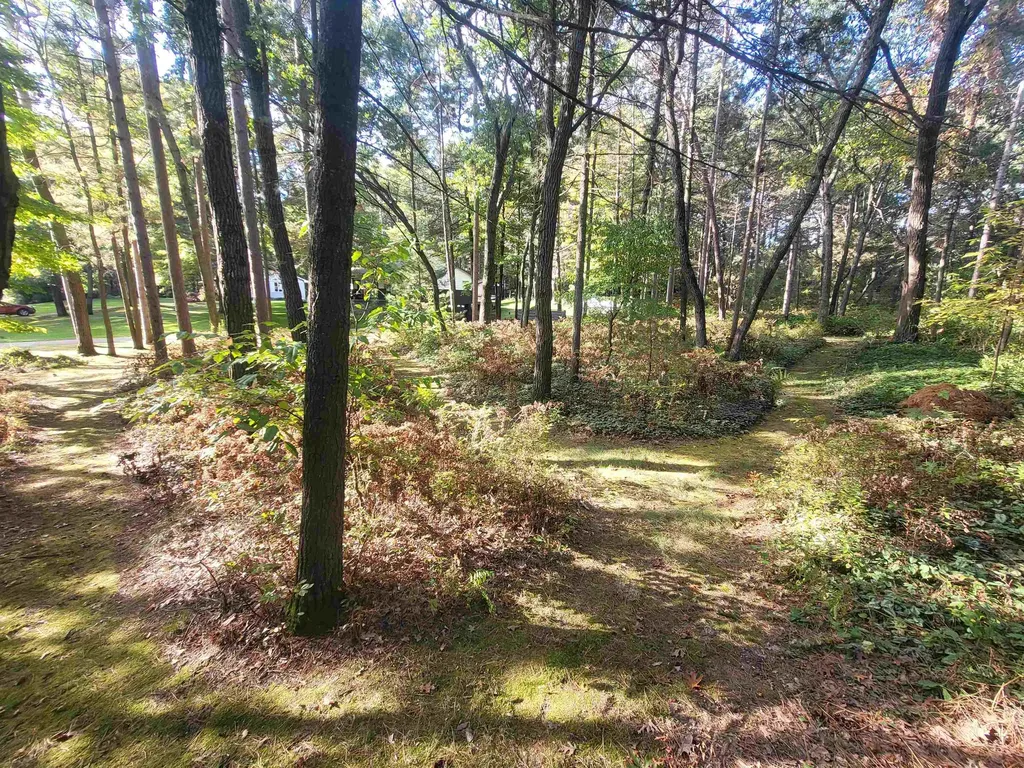 6753 Roanoak Drive Oscoda Charter Township MI 48750