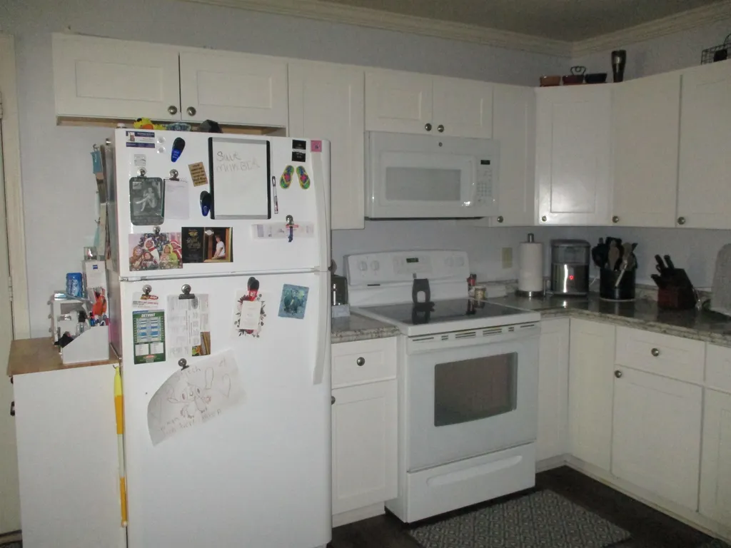 262 N Burgess Street West Branch Township MI 48661
