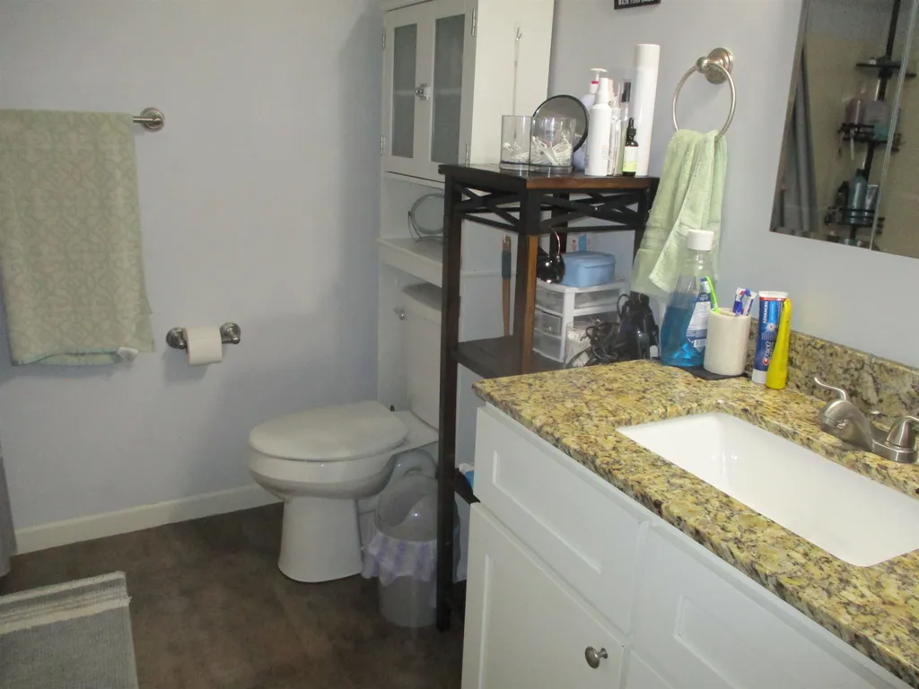 262 N Burgess Street West Branch Township MI 48661