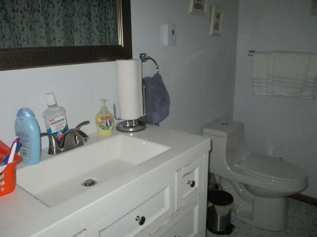 262 N Burgess Street West Branch Township MI 48661