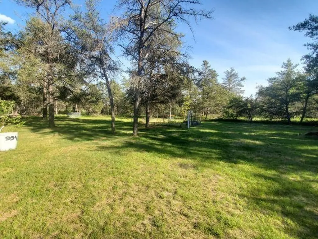 4847 Odessa Road Foster Township MI 48661