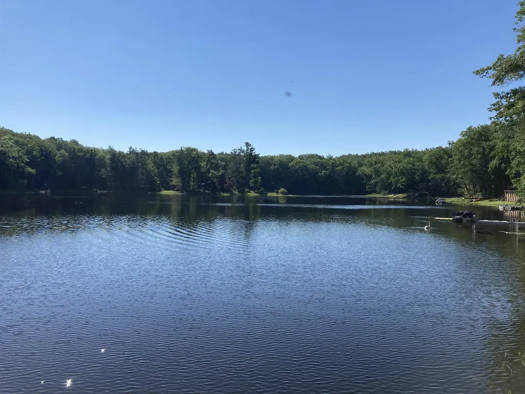 5808 Lakeview Drive Rose Township MI 48654