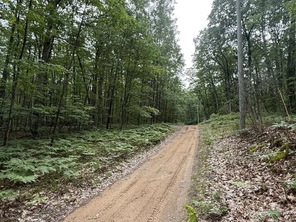 V/l Beechwood Drive Lyon Township MI 48653