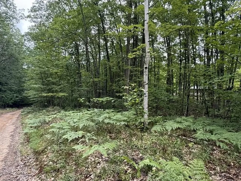V/l Beechwood Drive Lyon Township MI 48653