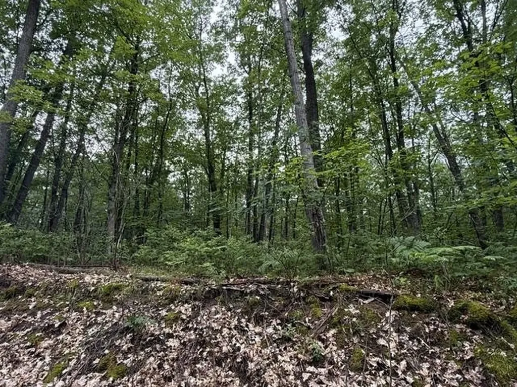 V/l Beechwood Drive Lyon Township MI 48653