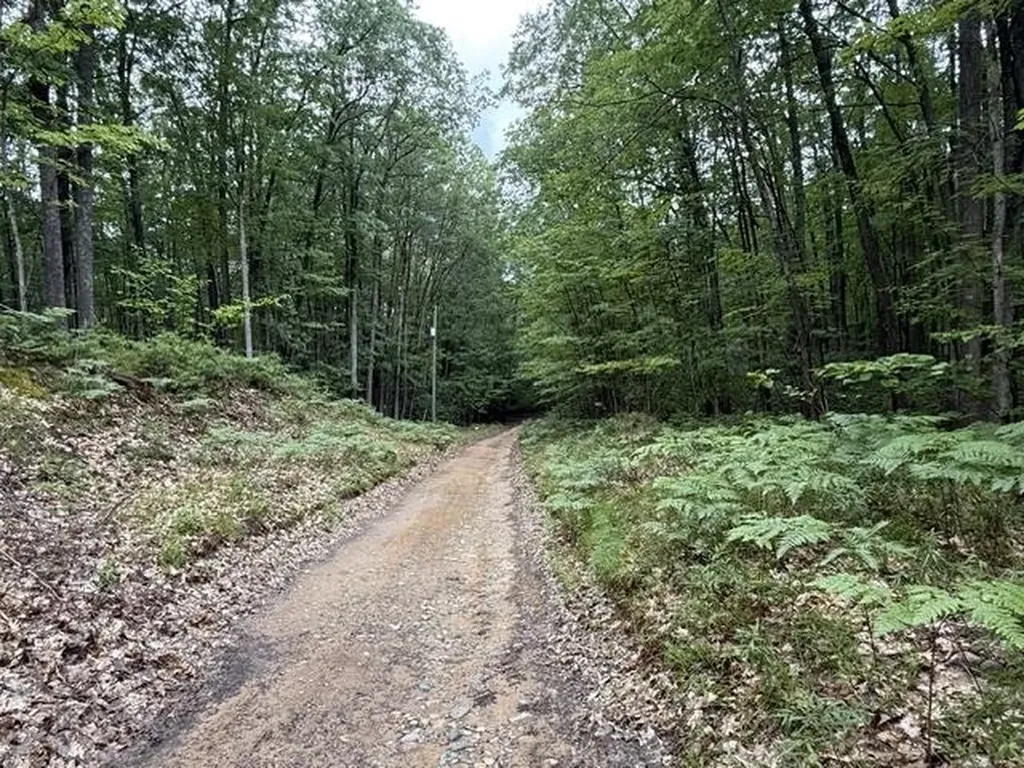 V/l Beechwood Drive Lyon Township MI 48653