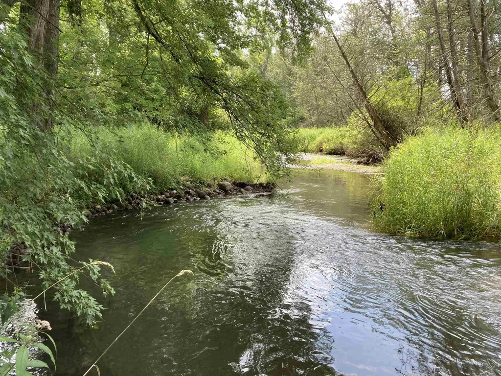 N/a Beechwood Road Cumming Township MI 48654