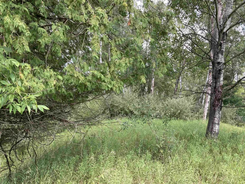 N/a Beechwood Road Cumming Township MI 48654