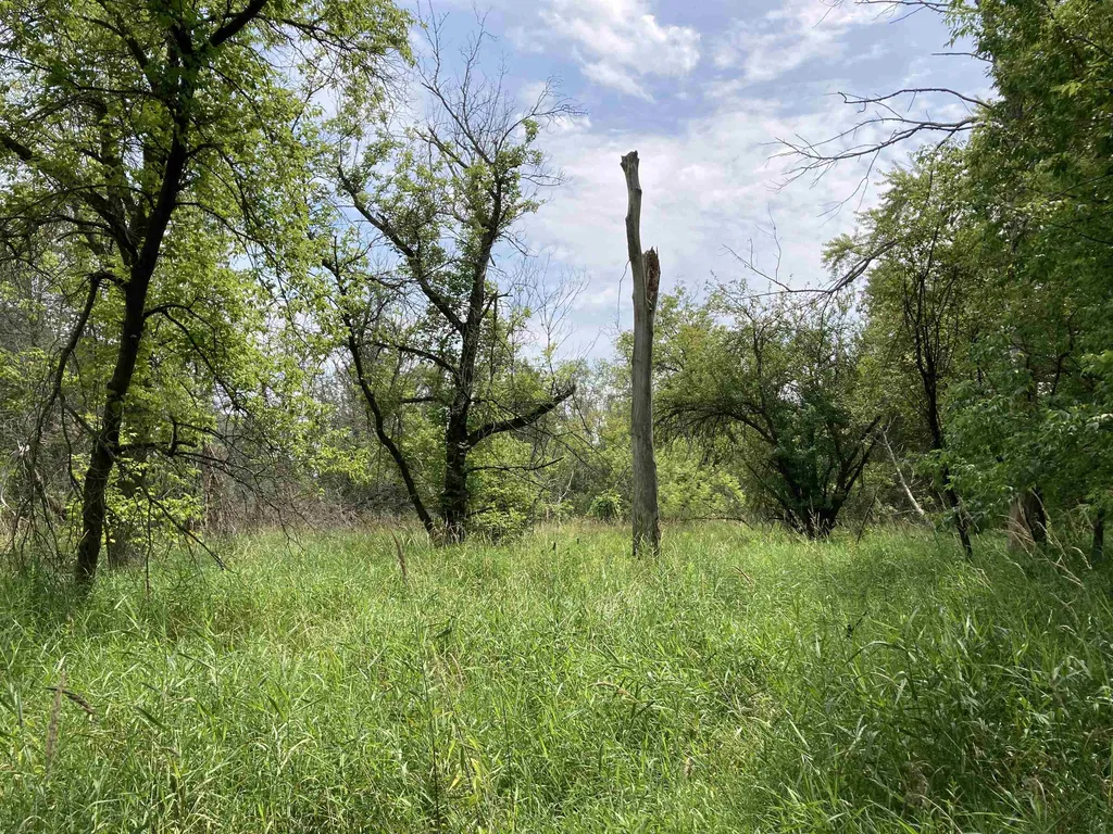 N/a Beechwood Road Cumming Township MI 48654