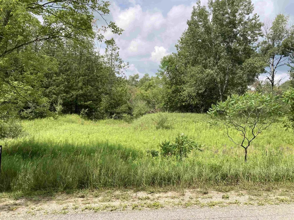 N/a Beechwood Road Cumming Township MI 48654