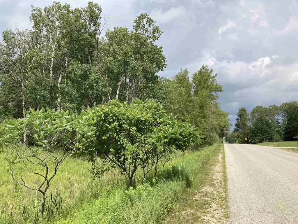 N/a Beechwood Road Cumming Township MI 48654