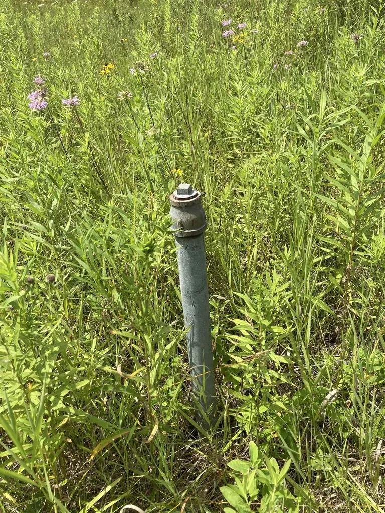 N/a Beechwood Road Cumming Township MI 48654