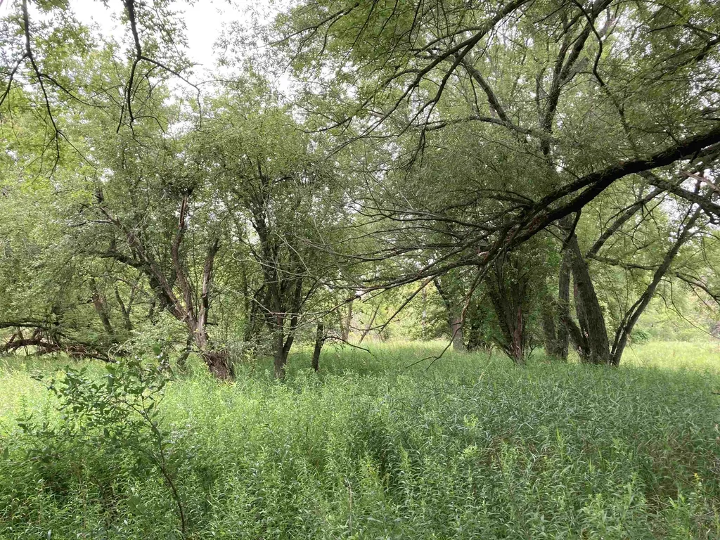 N/a Beechwood Road Cumming Township MI 48654