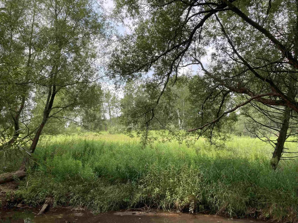 N/a Beechwood Road Cumming Township MI 48654