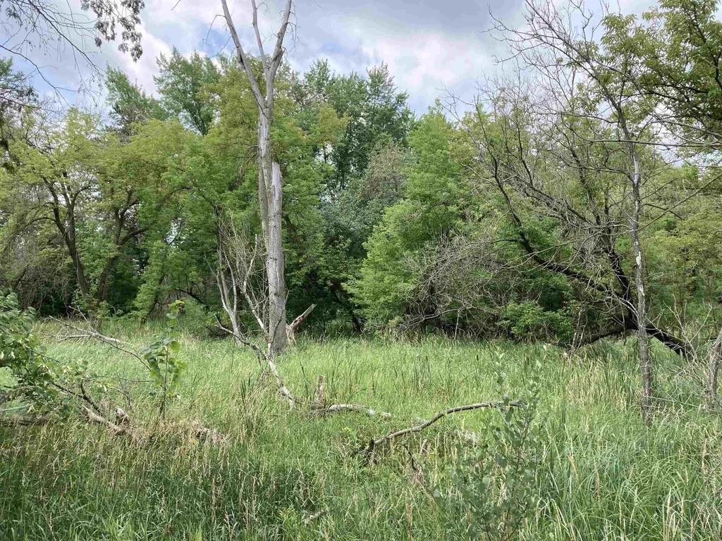 N/a Beechwood Road Cumming Township MI 48654