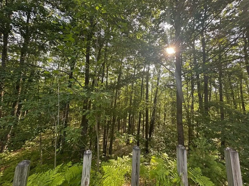 2318 W Sunset Drive Gerrish Township MI 48653