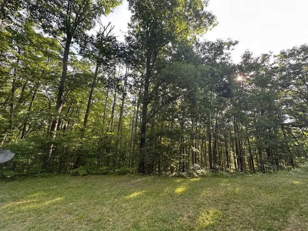 2318 W Sunset Drive Gerrish Township MI 48653
