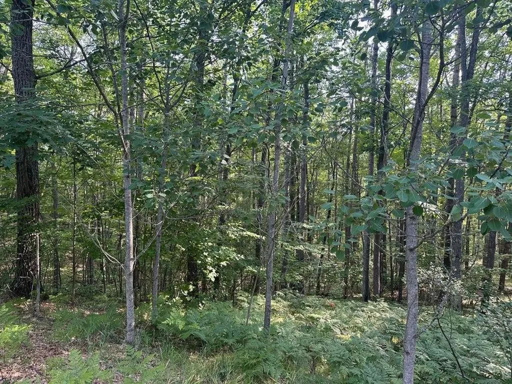 2318 W Sunset Drive Gerrish Township MI 48653