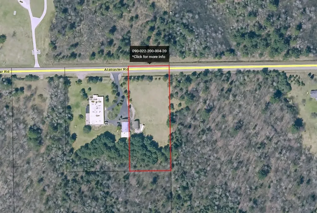 4395 Alabaster Road Sherman Township MI 48765
