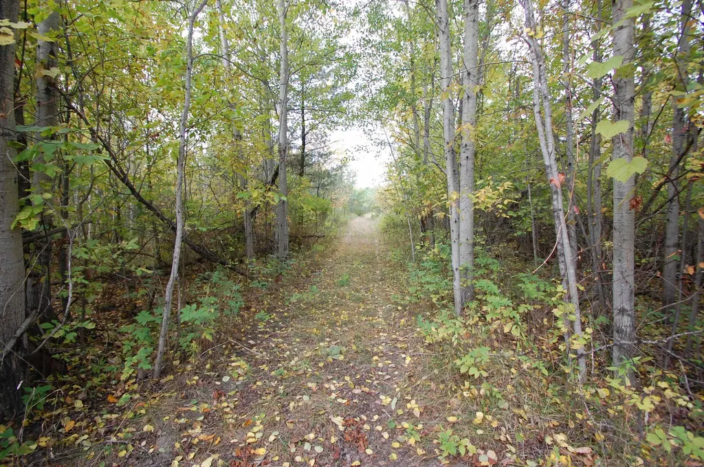 0 W M-55 West Branch Township MI 48661