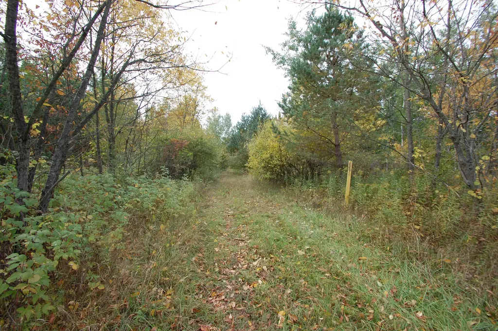 0 W M-55 West Branch Township MI 48661
