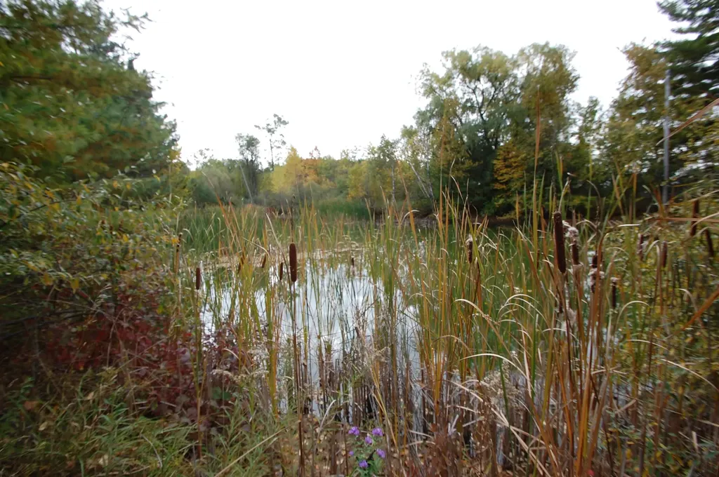0 W M-55 West Branch Township MI 48661